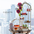 梅田カナリス canaris モダンフレンチのおすすめ料理1