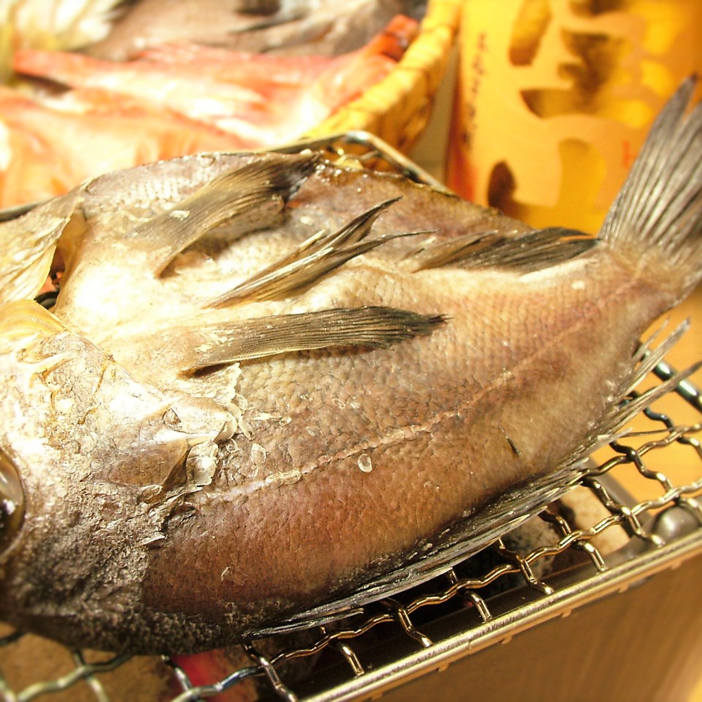 おすすめは＜厳選＞日替わりの炙り魚！ざるの中からお選びください。