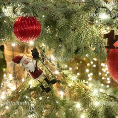 和風フレンチ ichiRyu 六本木のコース写真