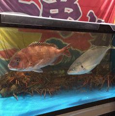 店頭水槽で鮮度を管理！ギリギリまで泳いでる新鮮な魚♪