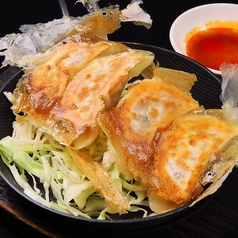皮咲焼餃子【1皿:4個】