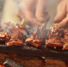 Tori&Tori to to to トトト