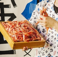 うおっと 魚人 函館五稜郭店のコース写真