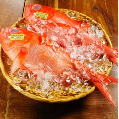 【旬の食材をご堪能】桶から鮮魚を厳選し調理します