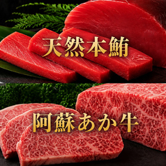 Japanese Cuisine 菜な 熊本店のコース写真