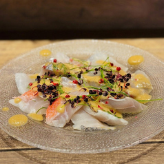 鮮魚のカルパッチョ 冩樂と白味噌のヌタソース