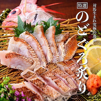 【新鮮なお魚料理】天神の居酒屋でめいいっぱいに味わう