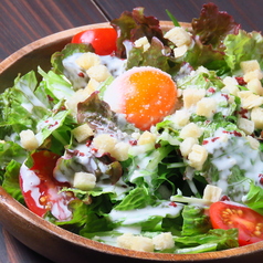 diningbar re ダイニングバーアールイーの特集写真