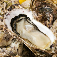 創業から受け継ぐ伝統の味と旬食材のこだわり