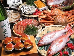 個室　市場直送　海鮮居酒屋サカナヤサケ　片町店特集写真1