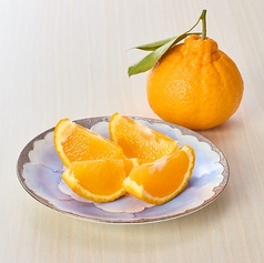 menu photo