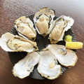 料理メニュー写真&nbsp;蒸し牡蠣 4個