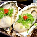 料理メニュー写真&nbsp;兵庫県室津産 生牡蠣