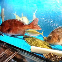 生け簀から直送☆鮮度にこだわった自慢の海鮮料理♪