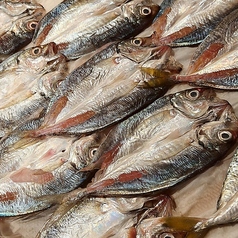 ご予算に合わせた宴会コース♪