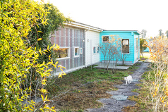 くろいちごCafe 浦部農園 茂原のおすすめポイント1