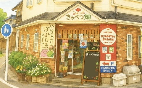 きゃべつ畑の写真
