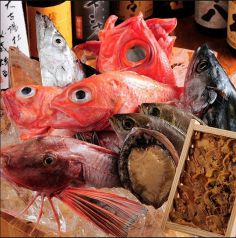 紀州山海料理 愚庵 丸ビル 丸の内店(銀平直営店)の写真2