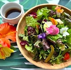 大分県産彩り野菜のサラダ 大分カボスドレッシング
