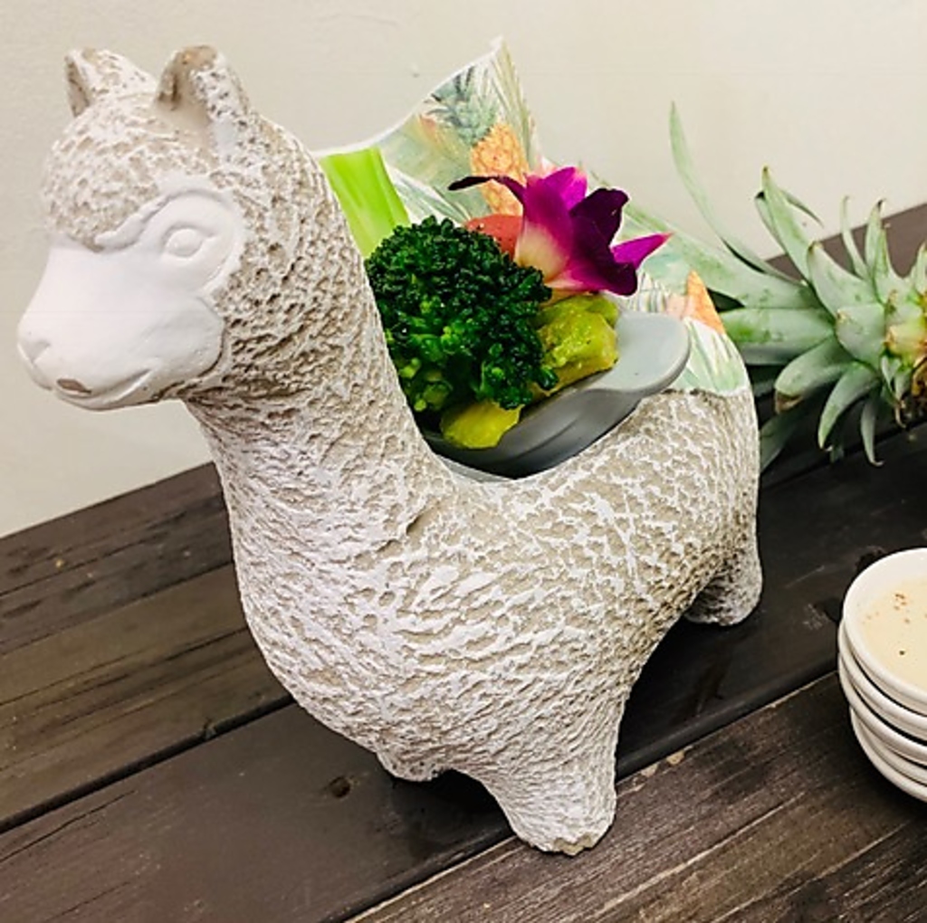 【DINNER】福岡市内のバーニャフレッダ