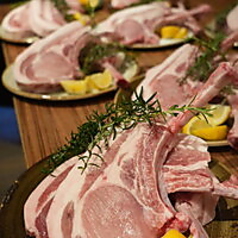 キャナルビアガーデン＆バーベキュー 品川 天王洲のコース写真