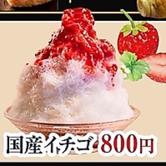 OCEAN　KITCHEN　Dの雰囲気3