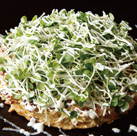 新鮮な野菜を使用！