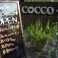 CAFE COCCO+ コッコプラス