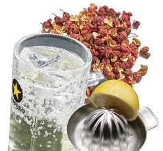 登竜門オリジナルドリンク◆飲み放題プラン◆