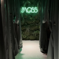 MOSS モス Cafe&Bar Shishaの雰囲気1