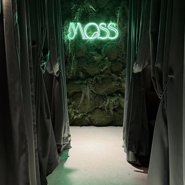 MOSS モスの雰囲気1