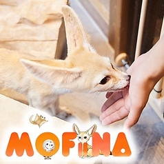 ふれあいカフェ MOFiiNA モフィーナ の写真