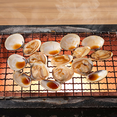 《活》小はまぐり 8個