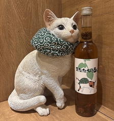 筑前猫屋のおすすめドリンク3