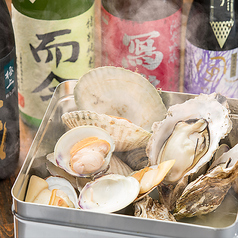 かいのみ 新宿三丁目店のコース写真