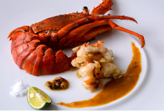 飛騨牛茶寮 神月のコース写真