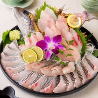 朝獲れ鮮魚