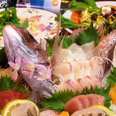 炉ばた居酒屋 炉談 ろだん特集写真1