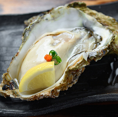 陸全高田産三年殻牡蠣