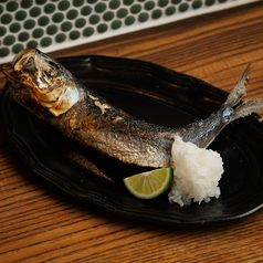 トロイワシ