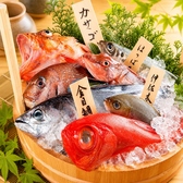 新鮮活魚を豪快に調理!!産地直送だから、鮮度は抜群!!