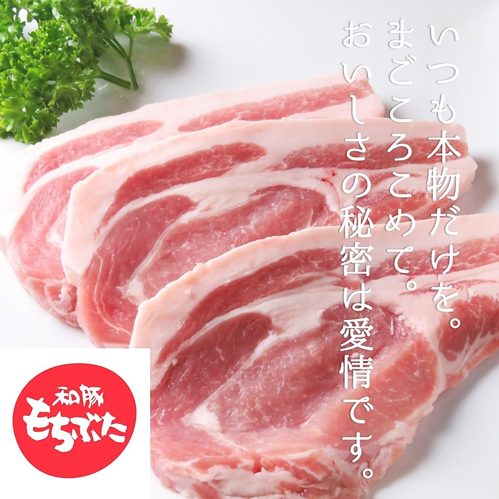 大河原のとんとんの丘直送【和豚もち豚】豚肉特有の匂いが無く脂身のサッパリとした甘みが特徴です。