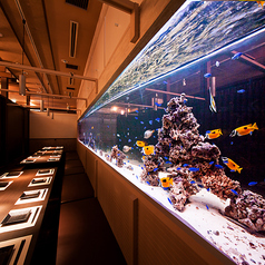 ナイトアクアリウム個室 芭蕉 水道橋店イメージ