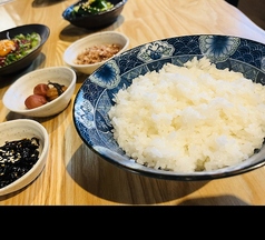 本日の白米
