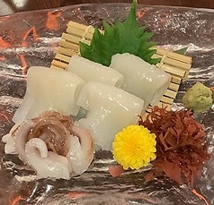 岩手　やりいか刺