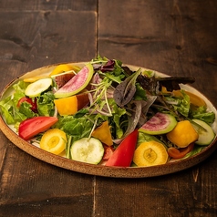10品目野菜とアンチョビドレッシングのグリーンサラダ