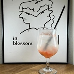 【フルーツエイド】見た目もかわいい“さっぱり甘い”エイドドリンクをご用意！キウイ・オレンジなど