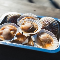唐戸浜焼きBBQ バーベキューの特集写真
