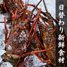 月のうさぎ 静岡のおすすめポイント1
