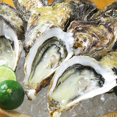 生牡蠣・岩牡蠣の写真
